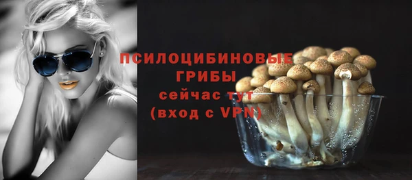 2c-b Абаза