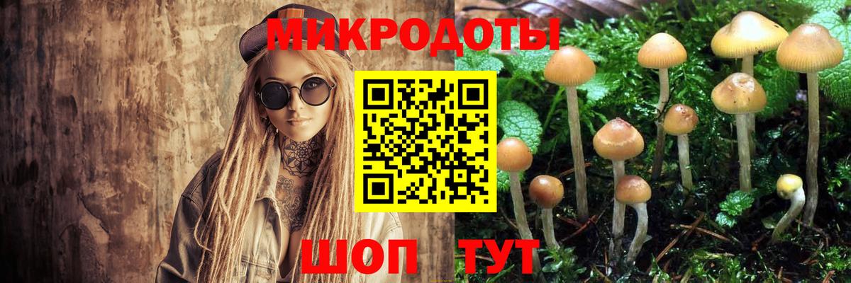 Галлюциногенные грибы Cubensis Майский